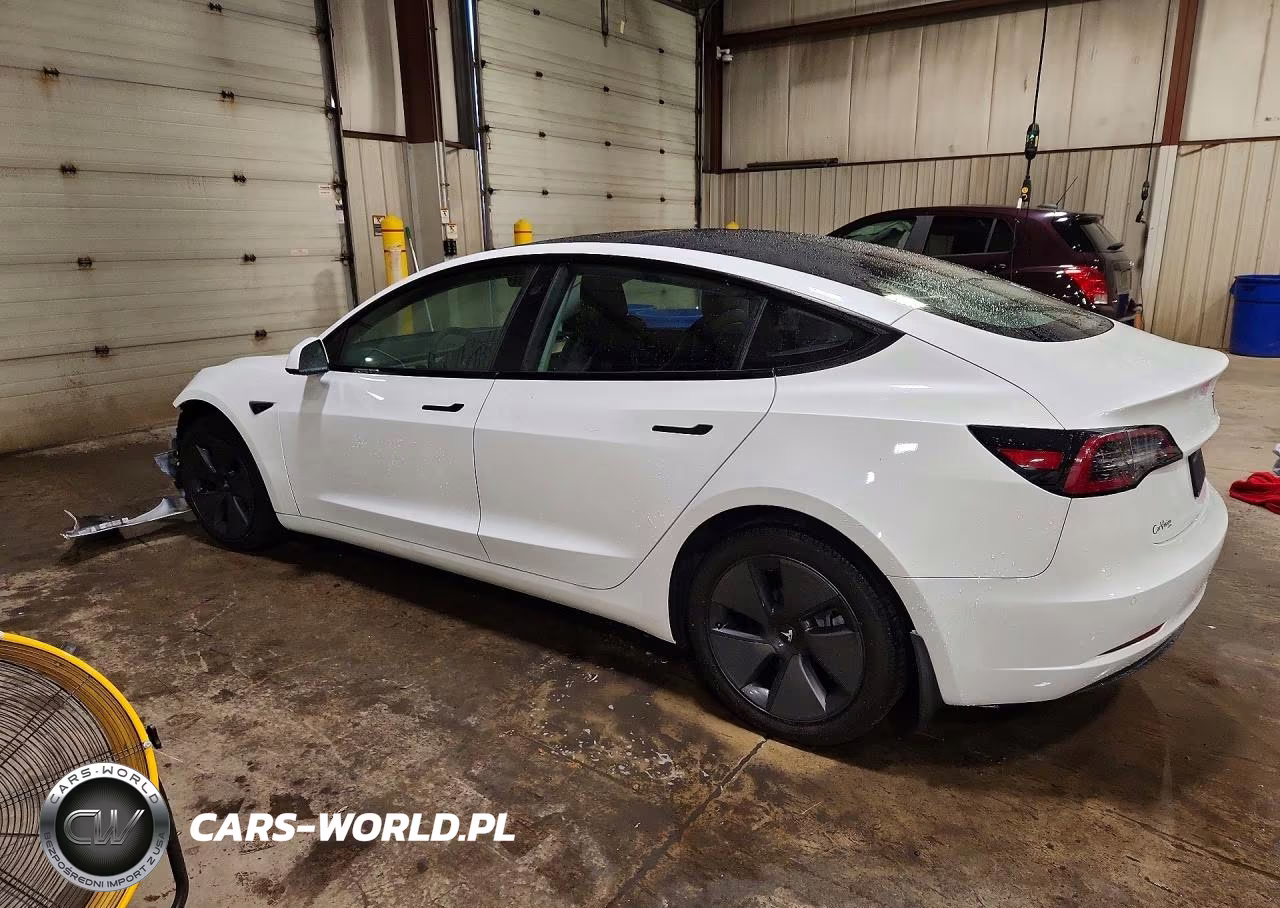 2021 Tesla Model 3 VIN:5YJ3E1EA5MF977499 - 2