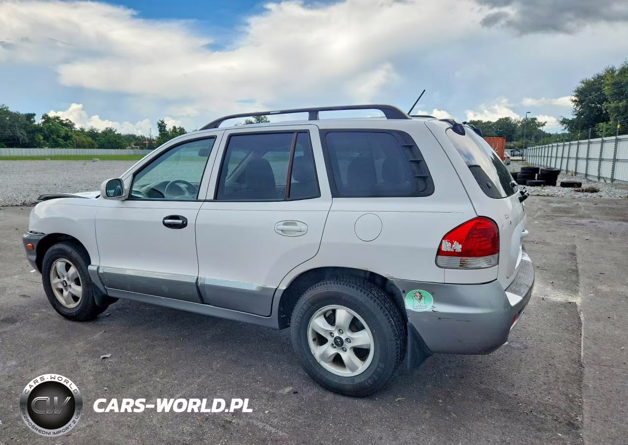 2005 Hyundai Santa Fe Gls VIN:KM8SC13D75U989723 - 2