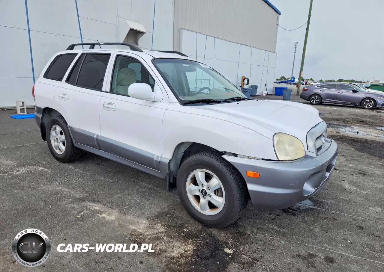 2005 Hyundai Santa Fe Gls VIN:KM8SC13D75U989723 - 4