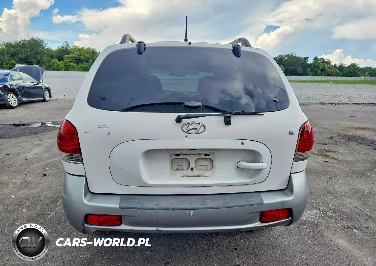 2005 Hyundai Santa Fe Gls VIN:KM8SC13D75U989723 - 6
