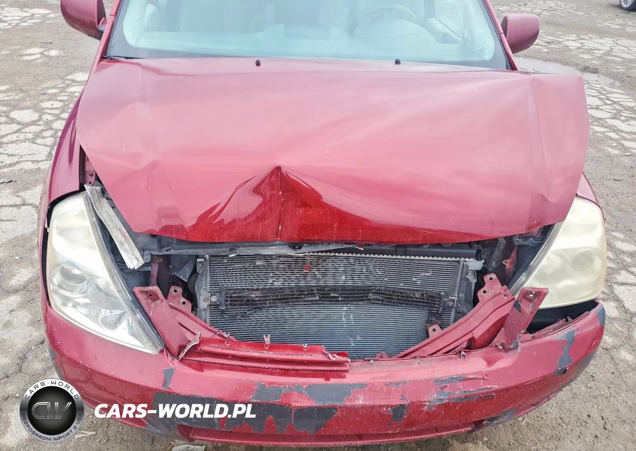 2008 Kia Sedona Lx VIN:KNDMB233186249199 - 12