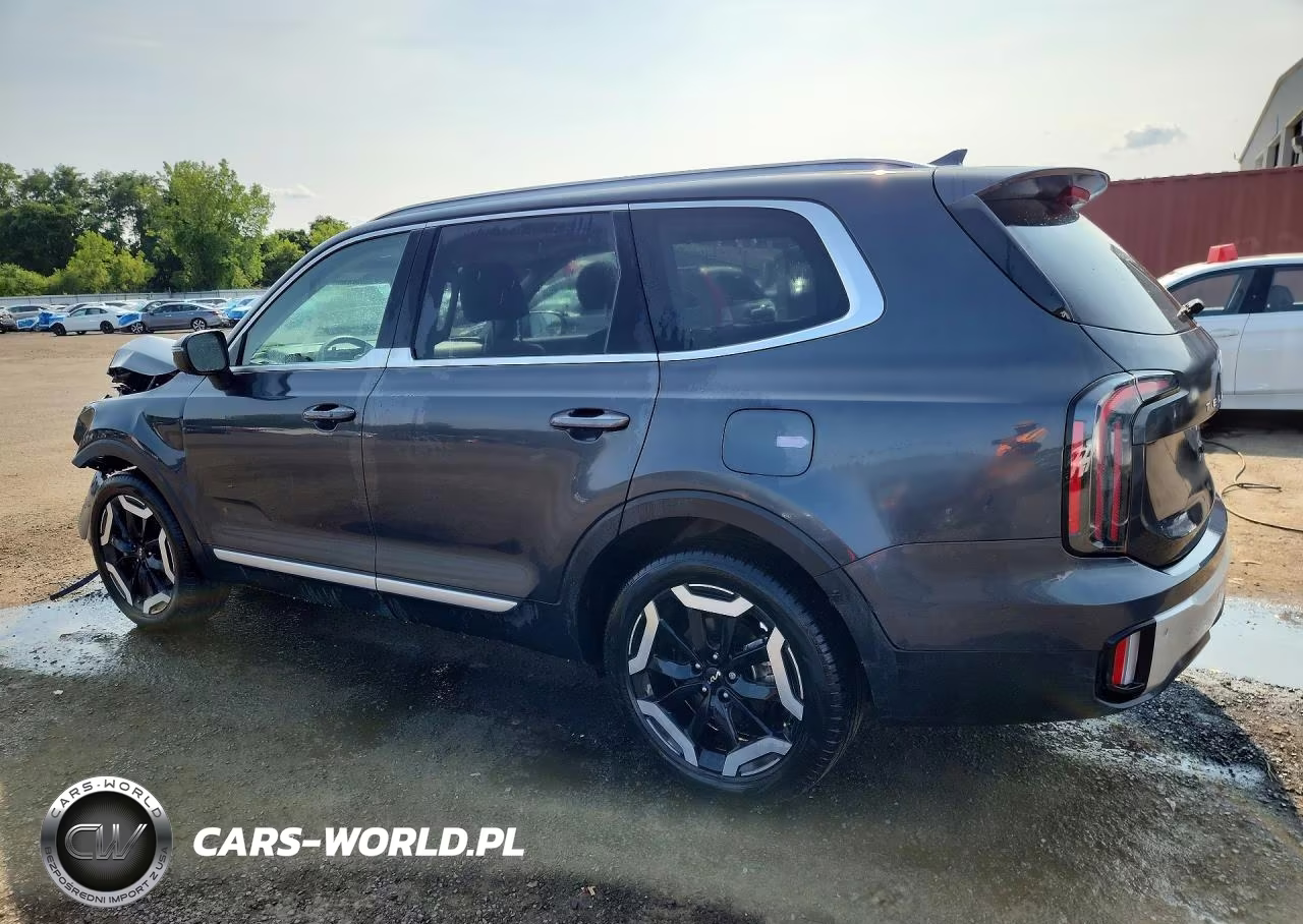 2024 Kia Telluride Ex VIN:5XYP3DGC7RG506851 - 2