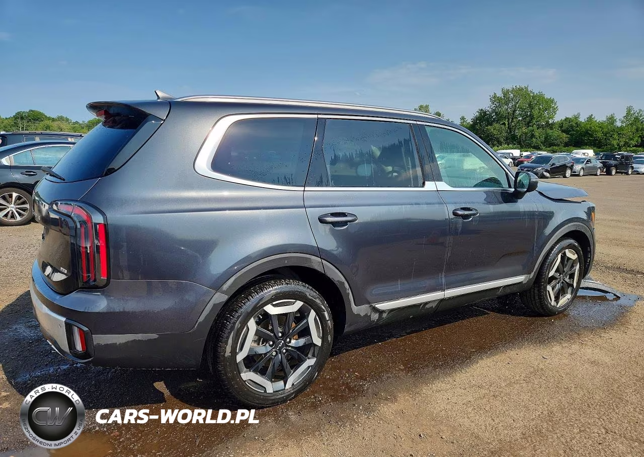2024 Kia Telluride Ex VIN:5XYP3DGC7RG506851 - 3