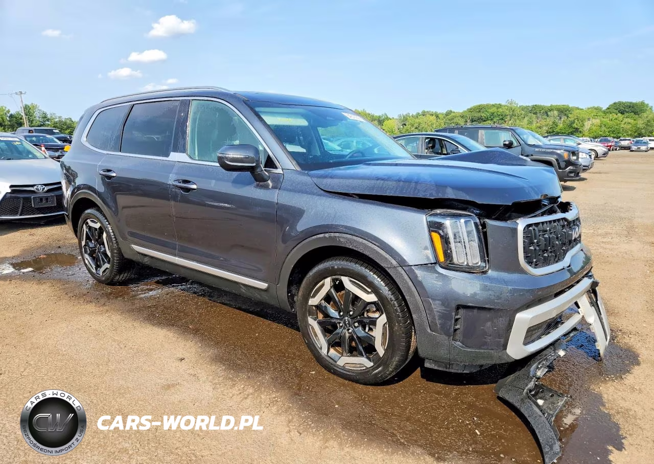 2024 Kia Telluride Ex VIN:5XYP3DGC7RG506851 - 4