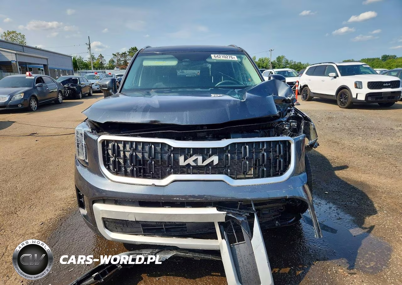2024 Kia Telluride Ex VIN:5XYP3DGC7RG506851 - 5