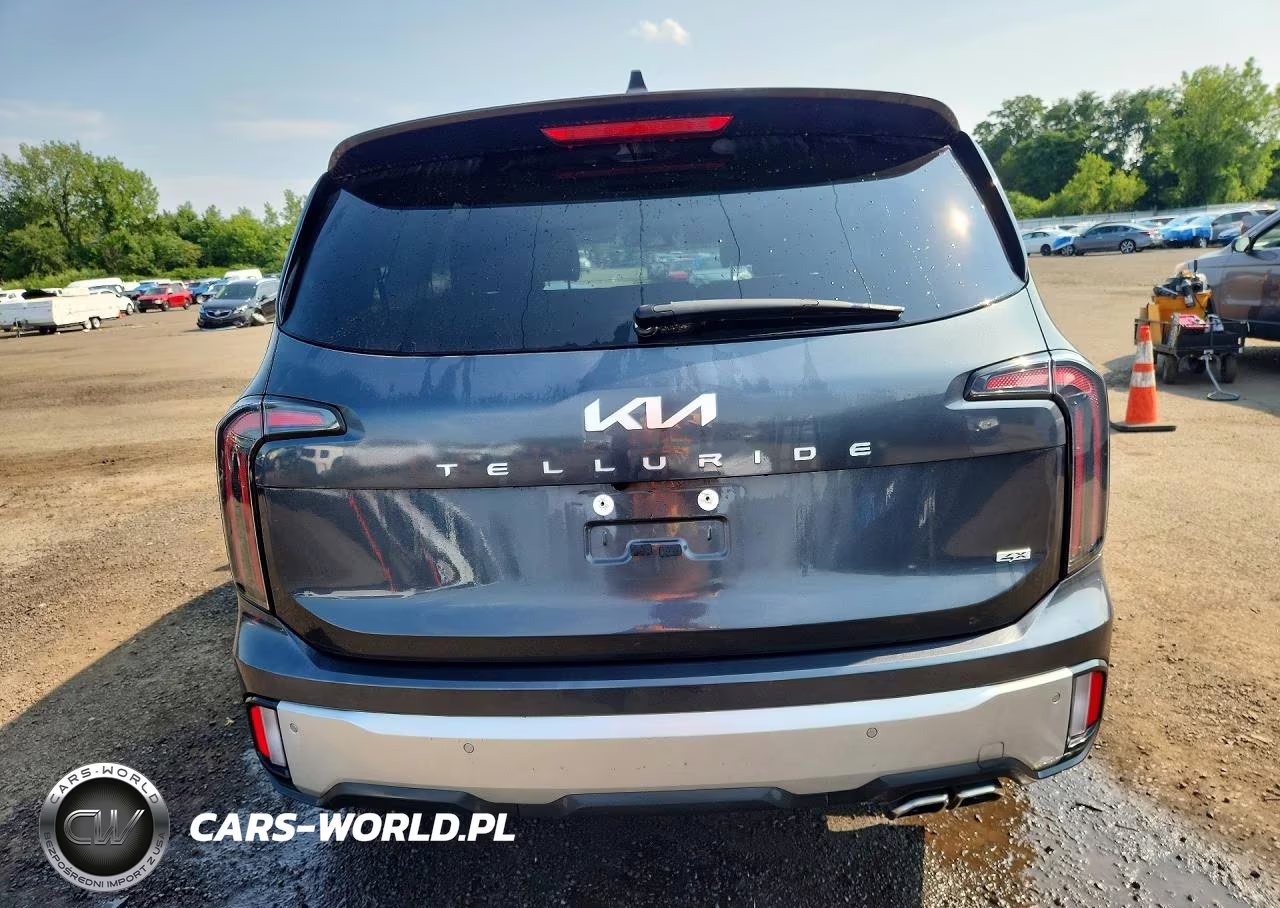2024 Kia Telluride Ex VIN:5XYP3DGC7RG506851 - 6