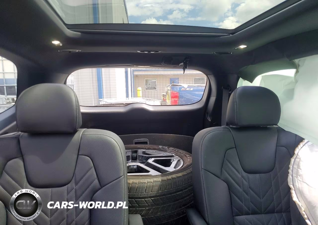 2025 Kia Telluride Sx X-Line VIN:5XYP5DGC7SG709383 - 10