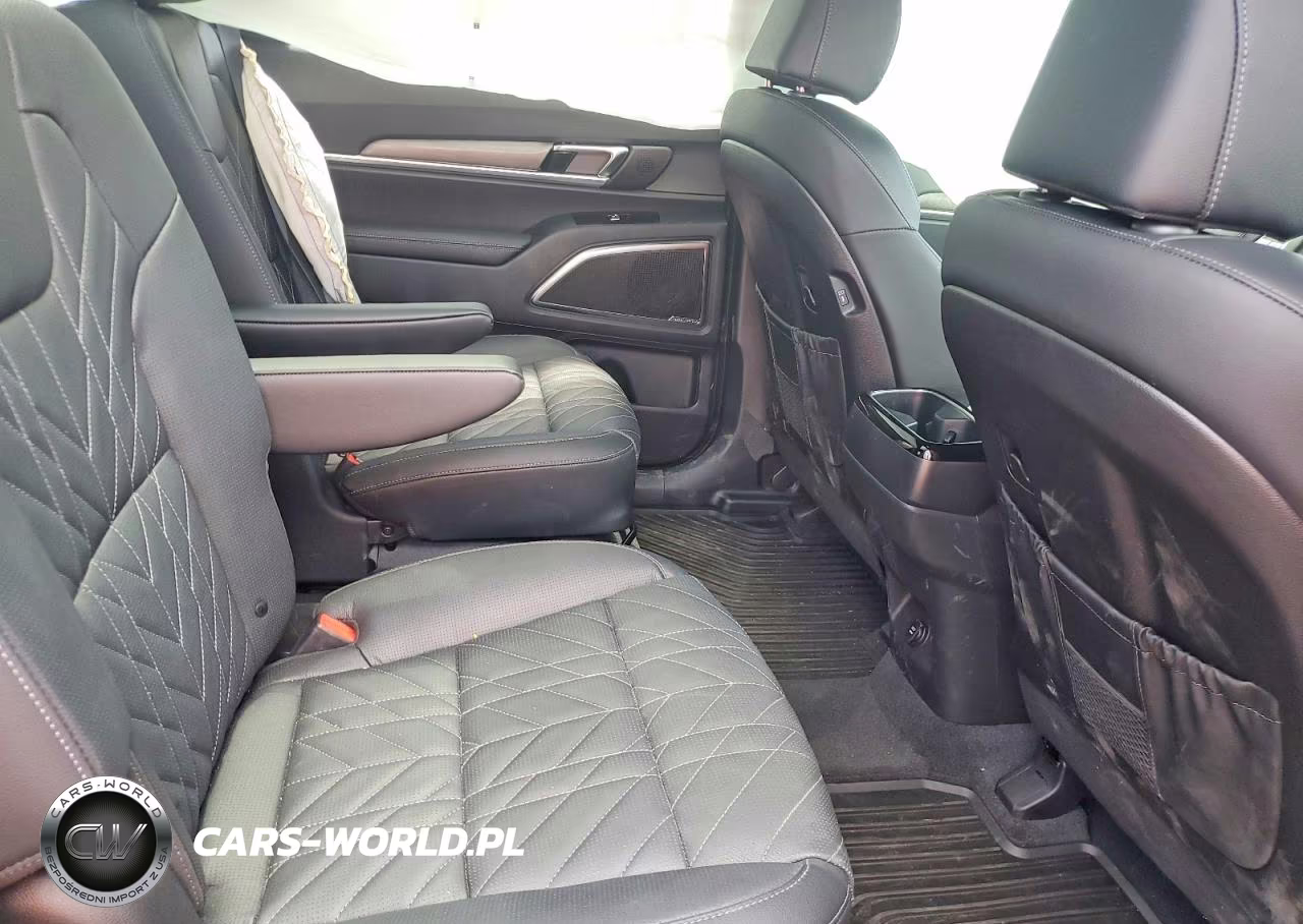 2025 Kia Telluride Sx X-Line VIN:5XYP5DGC7SG709383 - 11