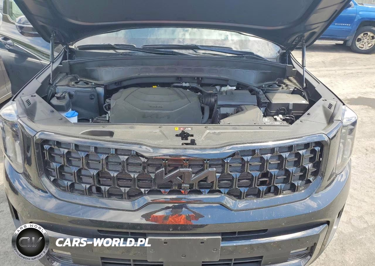 2025 Kia Telluride Sx X-Line VIN:5XYP5DGC7SG709383 - 12