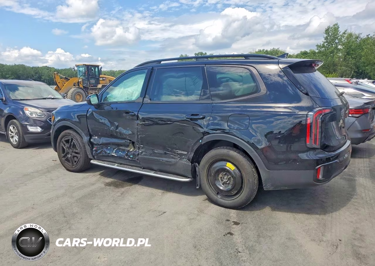 2025 Kia Telluride Sx X-Line VIN:5XYP5DGC7SG709383 - 2