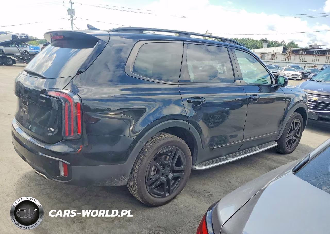 2025 Kia Telluride Sx X-Line VIN:5XYP5DGC7SG709383 - 3