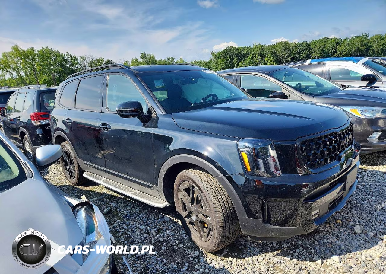 2025 Kia Telluride Sx X-Line VIN:5XYP5DGC7SG709383 - 4