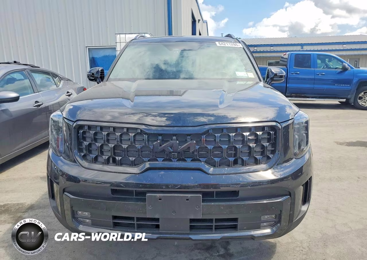 2025 Kia Telluride Sx X-Line VIN:5XYP5DGC7SG709383 - 5