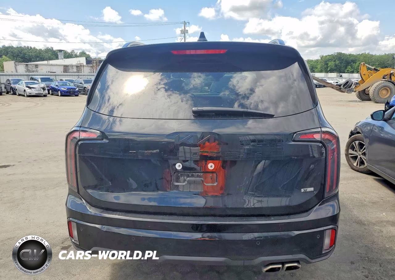 2025 Kia Telluride Sx X-Line VIN:5XYP5DGC7SG709383 - 6