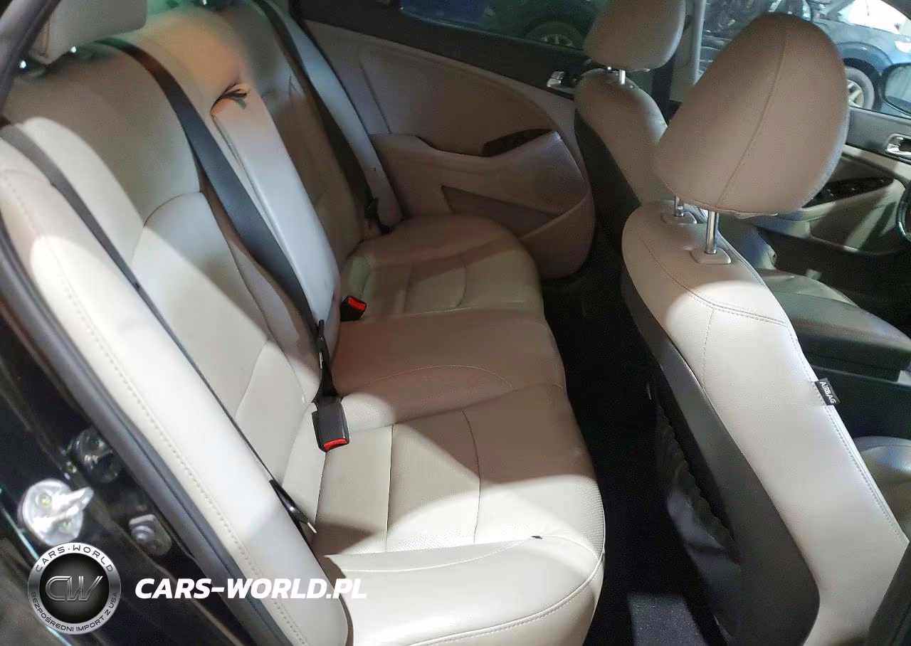 2015 Kia Optima Ex VIN:5XXGN4A73FG413380 - 10