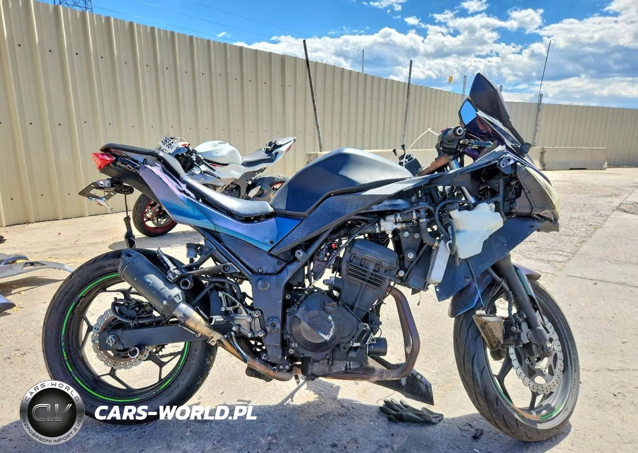 2015 Kawasaki Ex300 A – zdjęcie 1 z 10