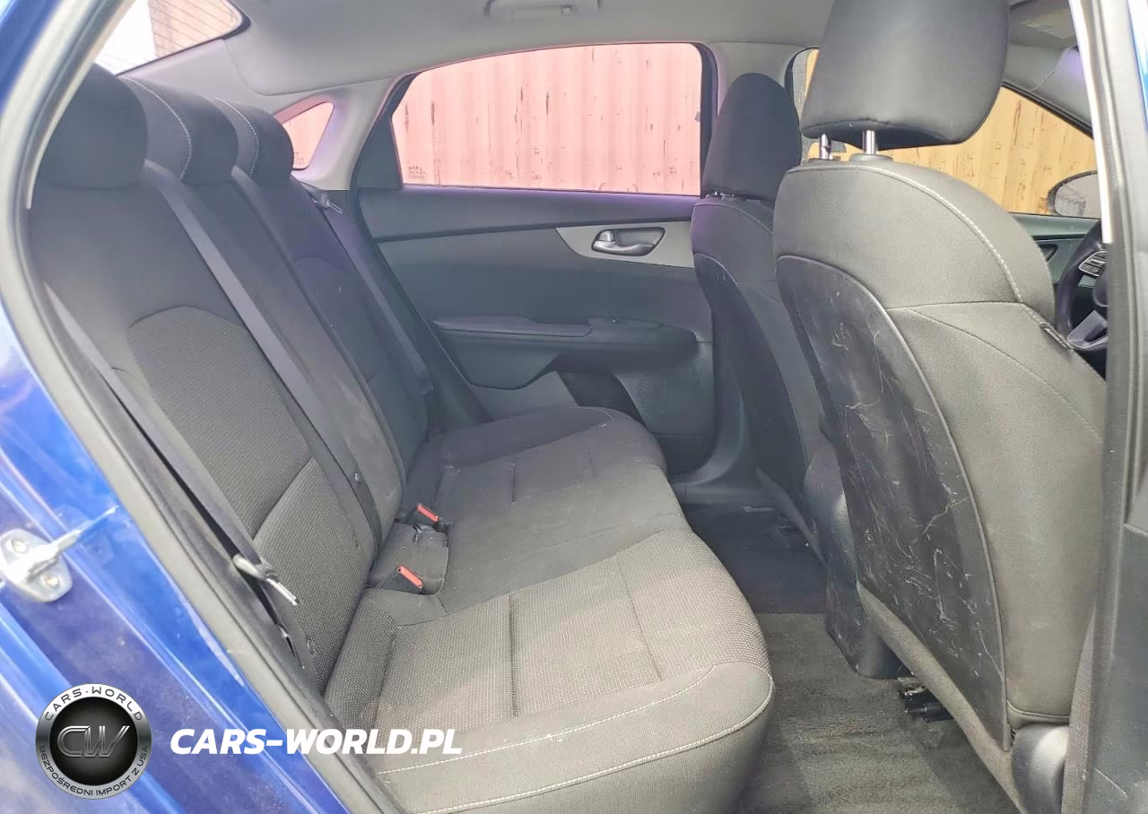 2019 Kia Forte Lxs VIN:3KPF24AD8KE092921 - 10