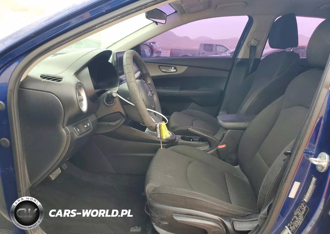2019 Kia Forte Lxs VIN:3KPF24AD8KE092921 - 7