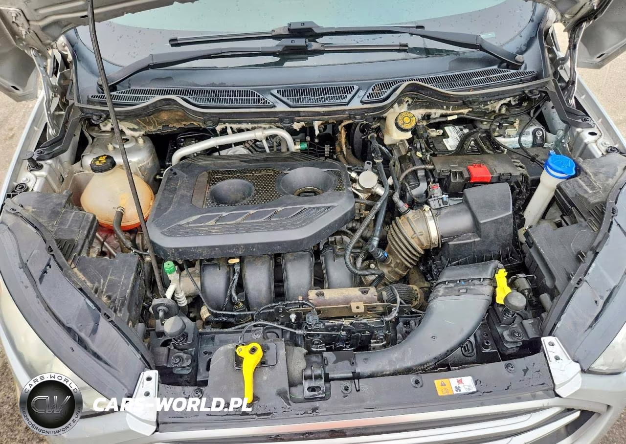 2019 Ford Ecosport Se VIN:MAJ6S3GL9KC304022 - 11