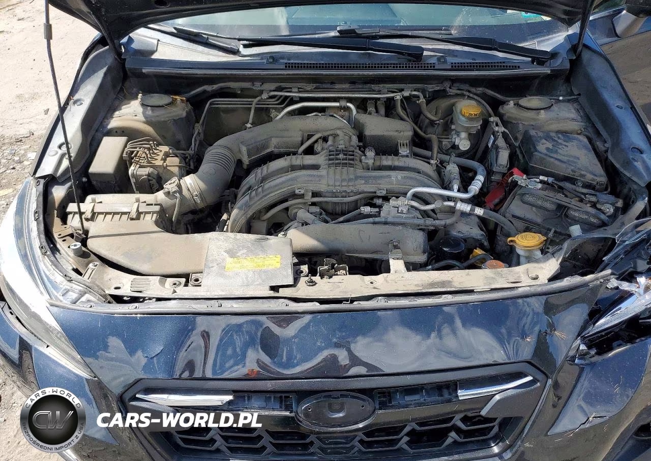 2019 Subaru Crosstrek Limited VIN:JF2GTANC2K8334888 - 11
