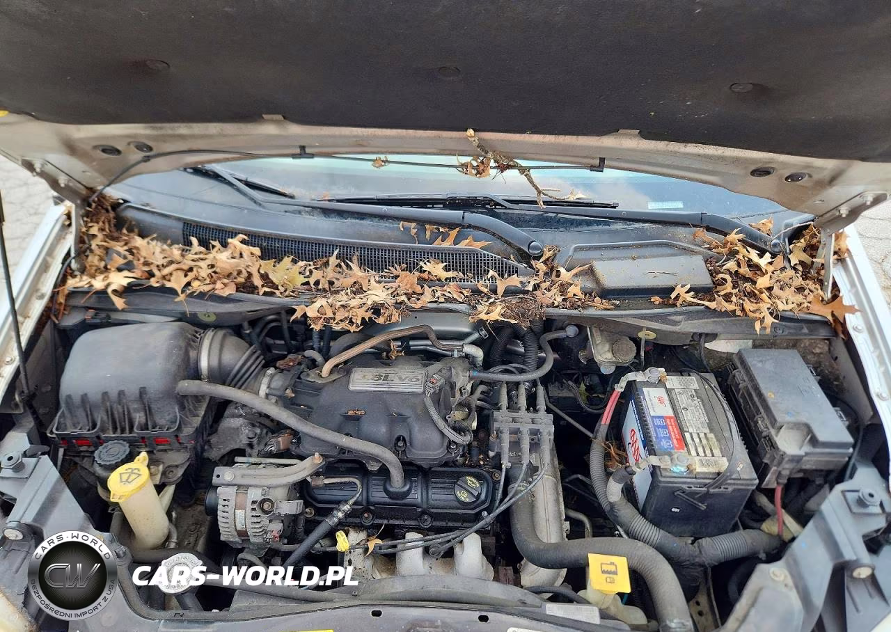 2010 Dodge Grand Caravan Sxt VIN:2D4RN5D14AR331831 - 12