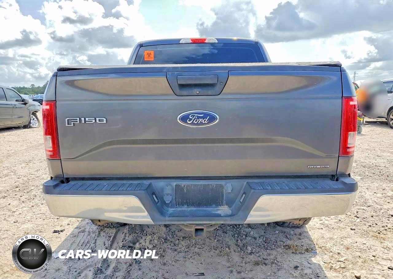 2016 Ford F150 Supercrew VIN:1FTEW1C8XGKF20927 - 6