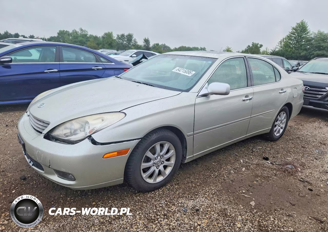 2004 Lexus Es 330 VIN:JTHBA30G145030944 - 1
