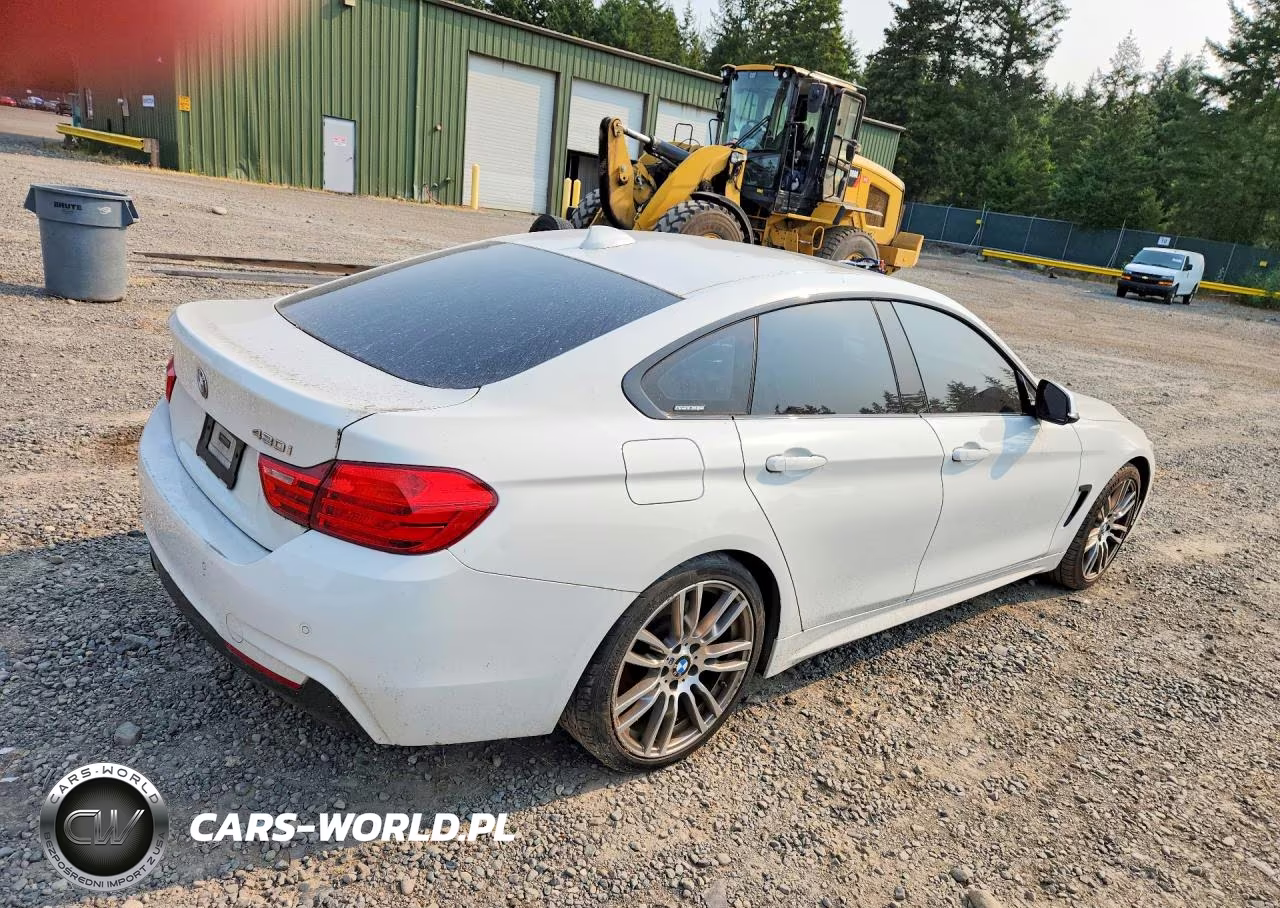2017 BMW 430I Gran Coupe VIN:WBA4F7C57HG438045 - 3
