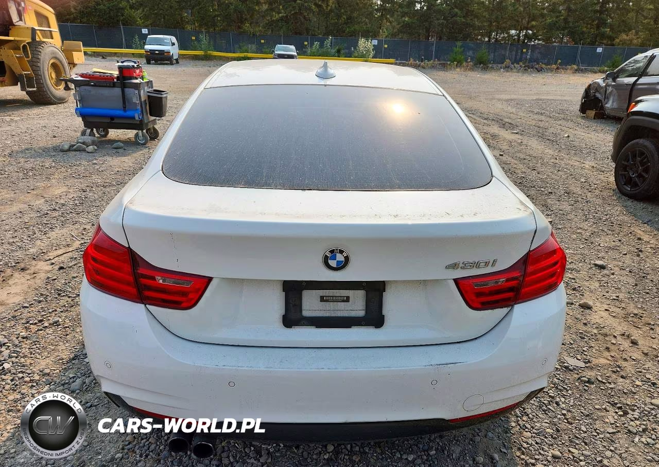 2017 BMW 430I Gran Coupe VIN:WBA4F7C57HG438045 - 6