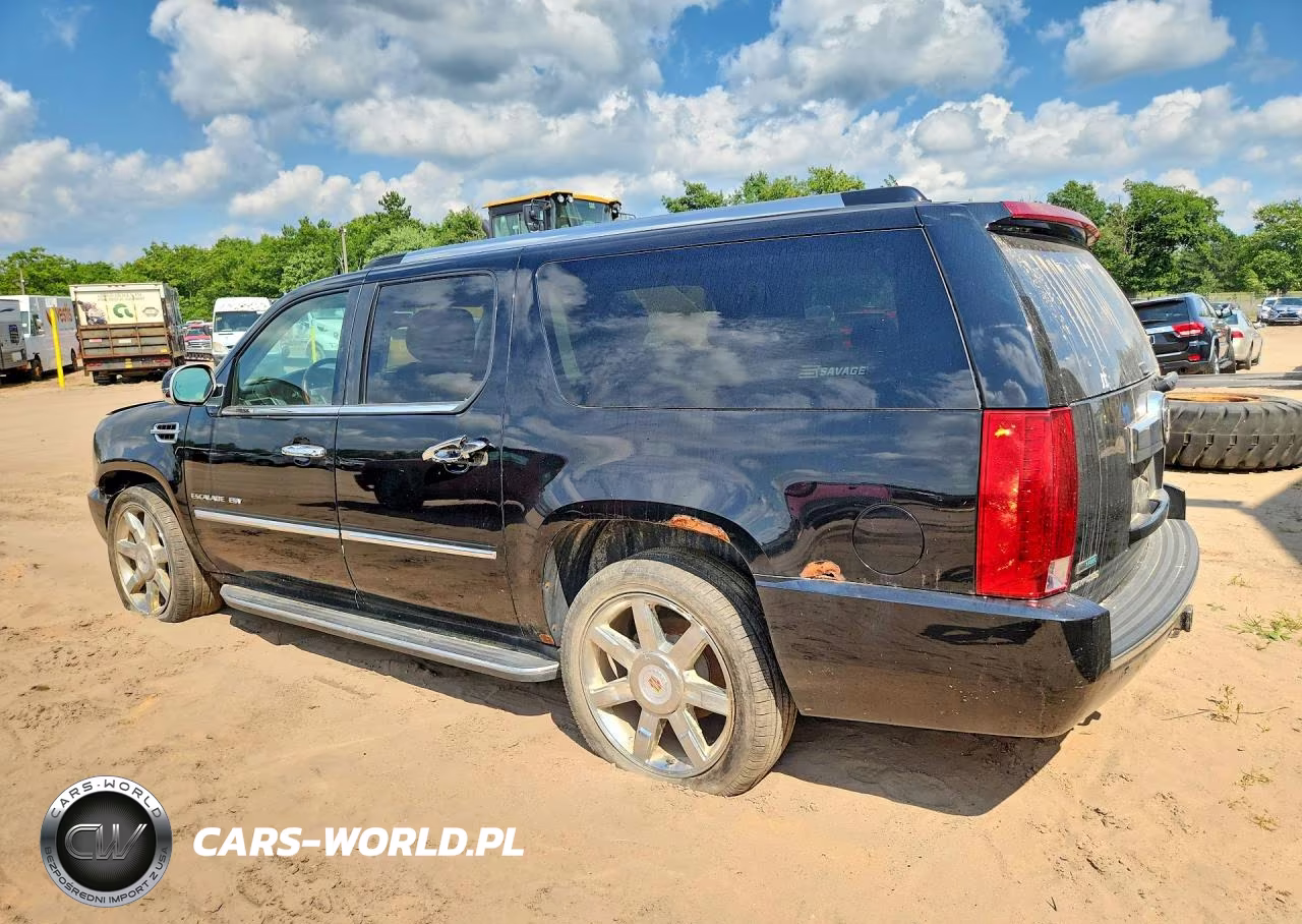 2010 Cadillac Escalade Esv Luxury VIN:1GYUKHEF1AR239619 - 2