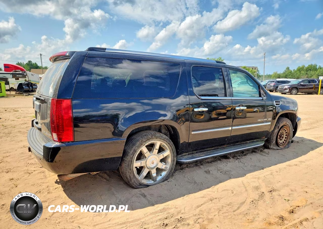 2010 Cadillac Escalade Esv Luxury VIN:1GYUKHEF1AR239619 - 3