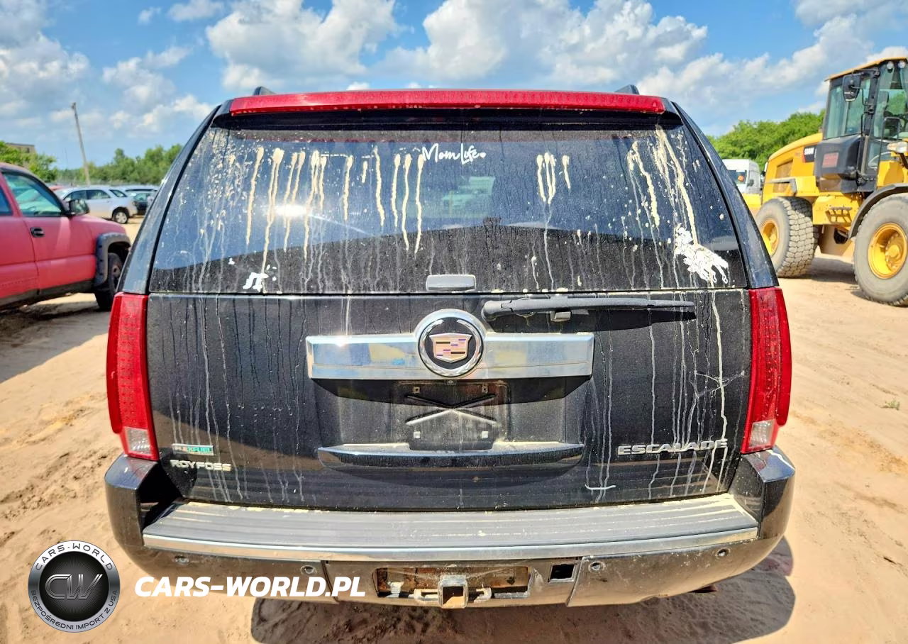 2010 Cadillac Escalade Esv Luxury VIN:1GYUKHEF1AR239619 - 6