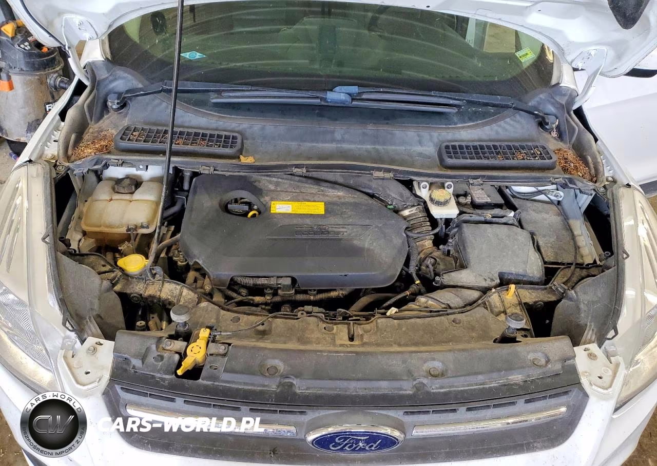 2016 Ford Escape Se VIN:1FMCU9GXXGUB43867 - 12