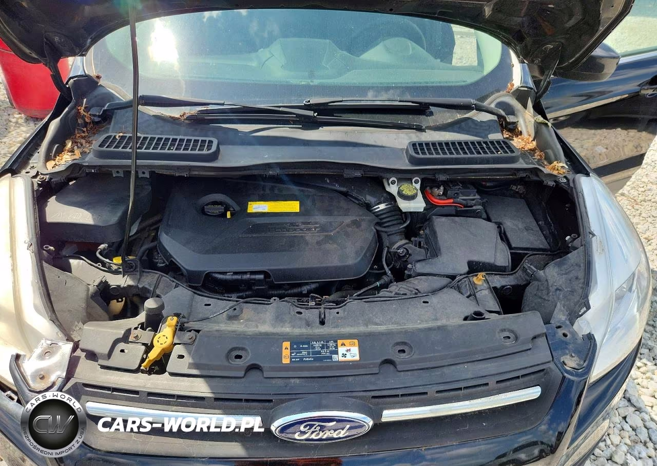 2016 Ford Escape Se VIN:1FMCU0GX3GUB81338 - 12