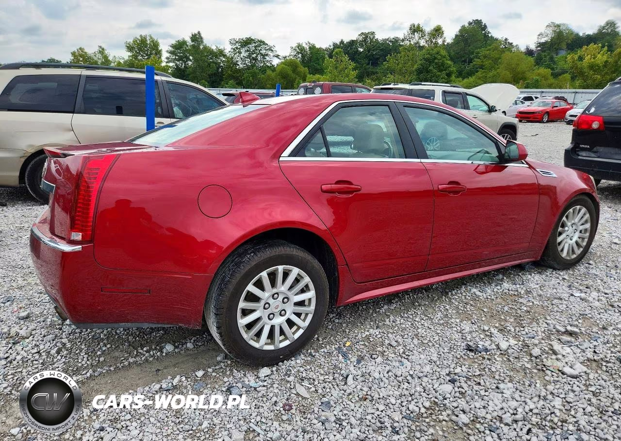 2010 Cadillac Cts Luxury Collection VIN:1G6DG5EGXA0139525 - 3
