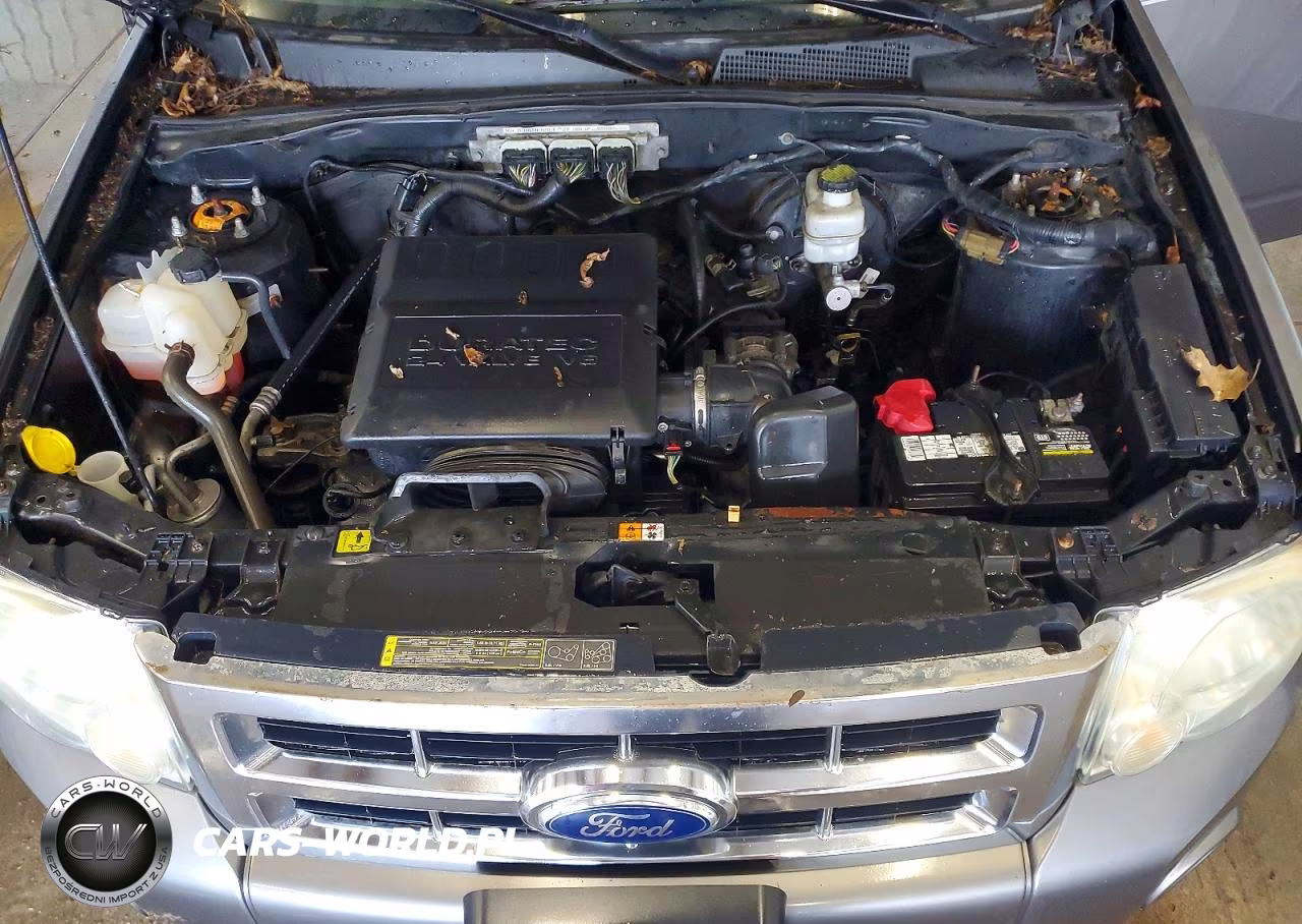 2011 Ford Escape Xlt VIN:1FMCU0DG1BKB30087 - 12