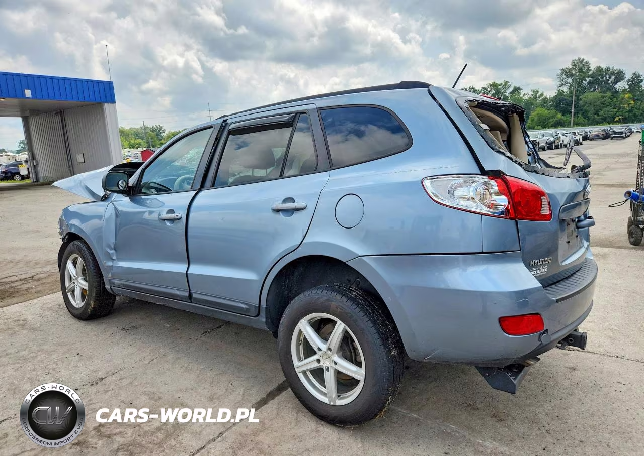 2009 Hyundai Santa Fe Gls VIN:5NMSG13D69H326293 - 2