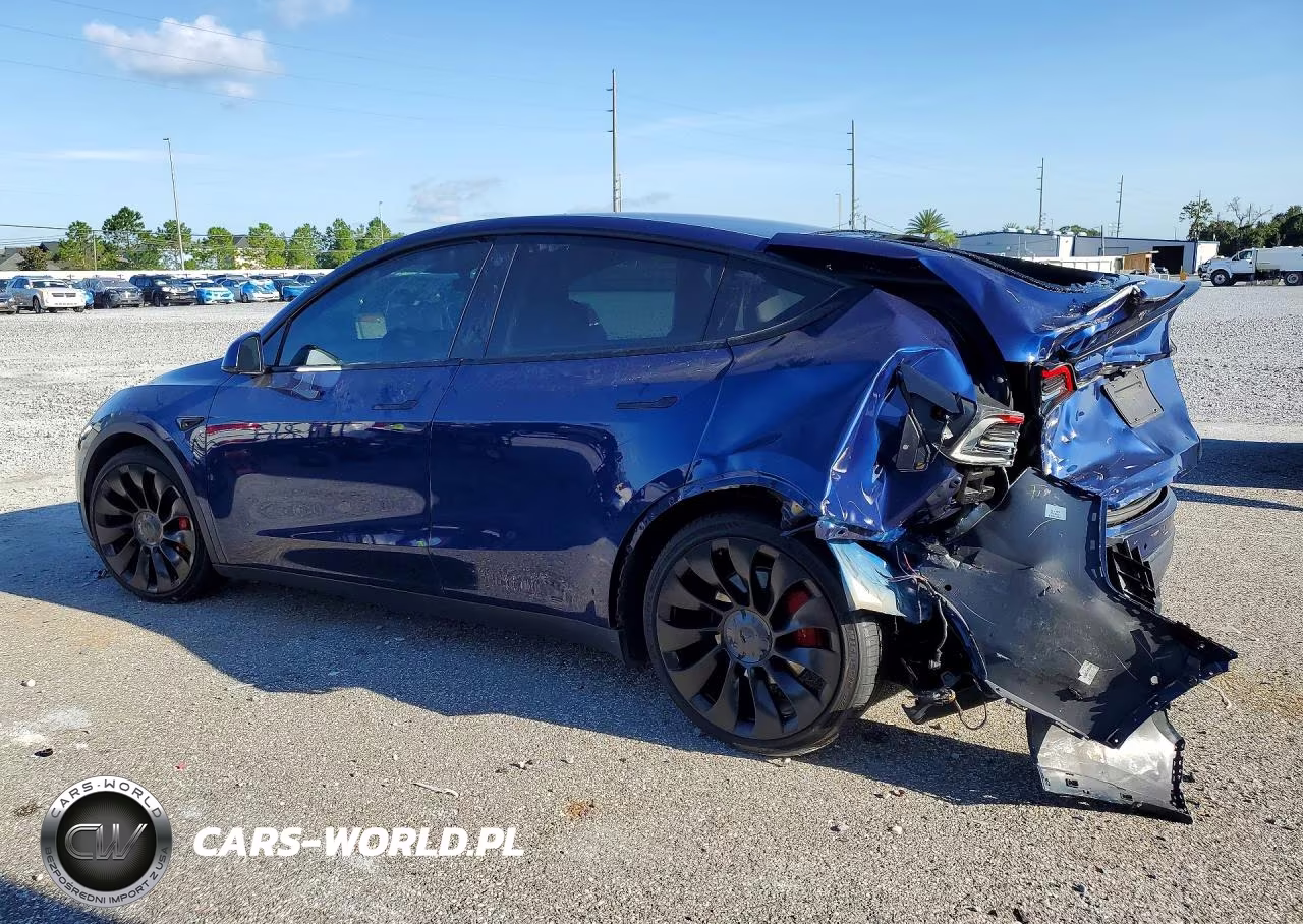 2022 Tesla Model Y VIN:7SAYGDEF7NF516001 - 2