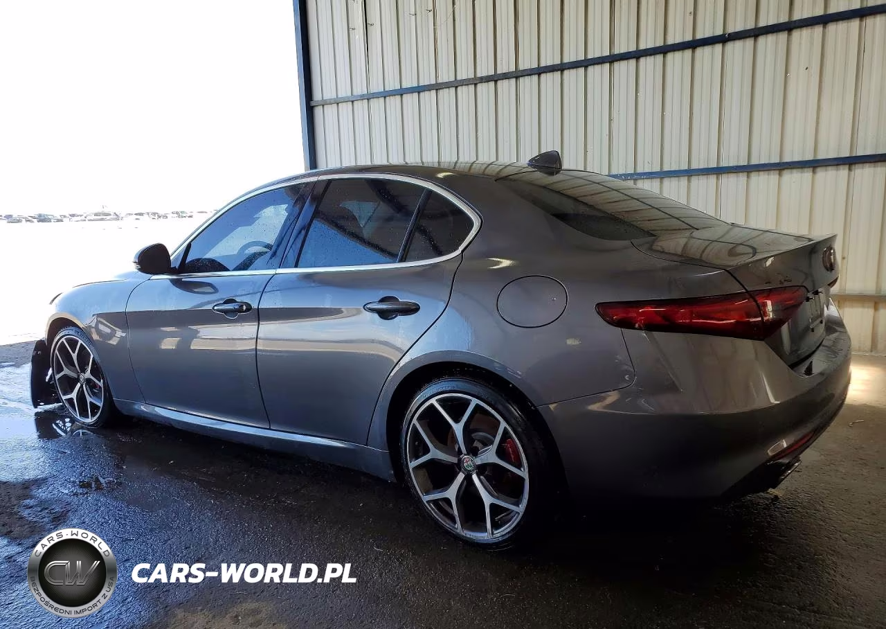2020 Alfa Romeo Giulia VIN:ZARFAMAN4L7630291 - 2