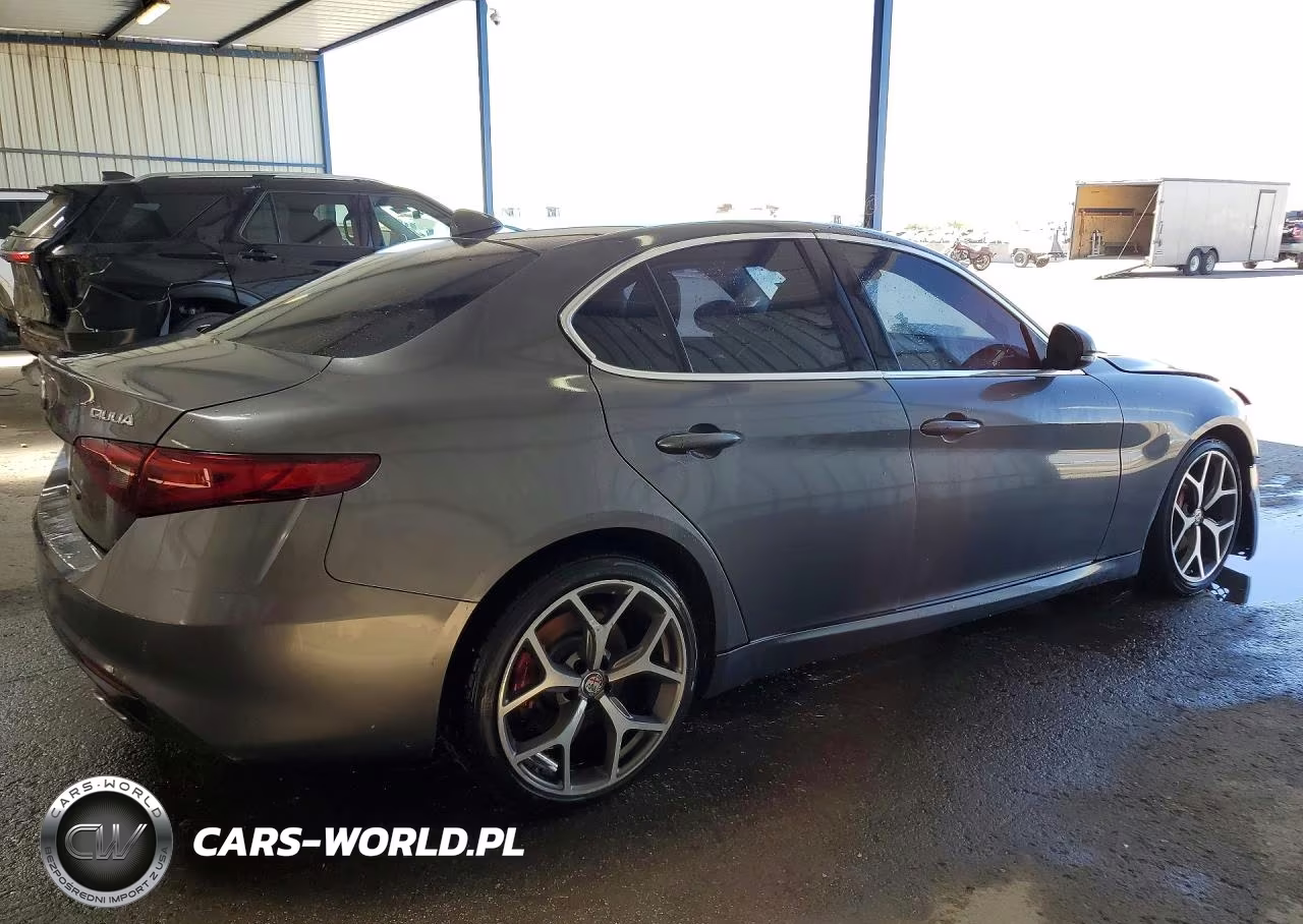 2020 Alfa Romeo Giulia VIN:ZARFAMAN4L7630291 - 3