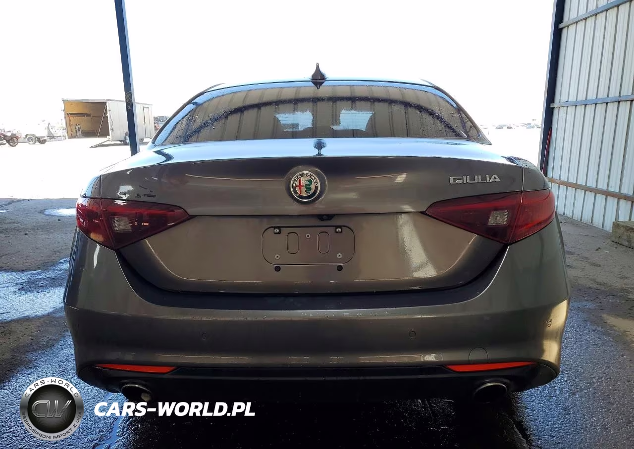 2020 Alfa Romeo Giulia VIN:ZARFAMAN4L7630291 - 6