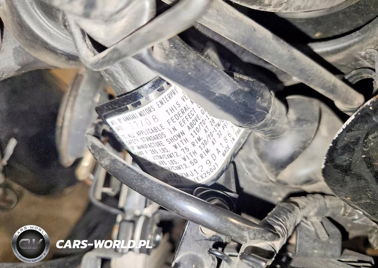 2009 Kawasaki Ex250 J VIN:JKAEXMJ129DA18678 - 9