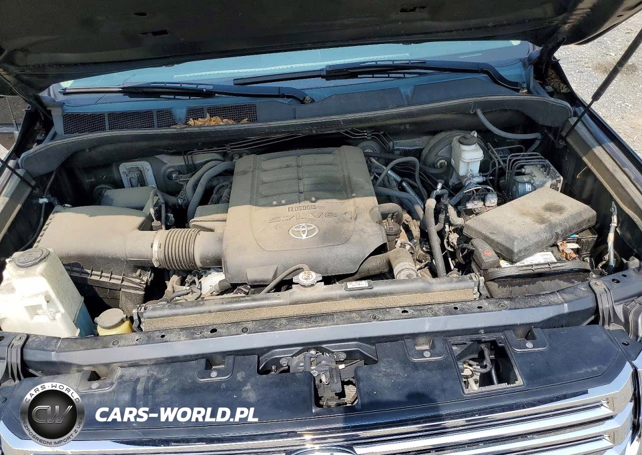 2019 Toyota Tundra 1794 Edition VIN:5TFAY5F15KX800281 - 11