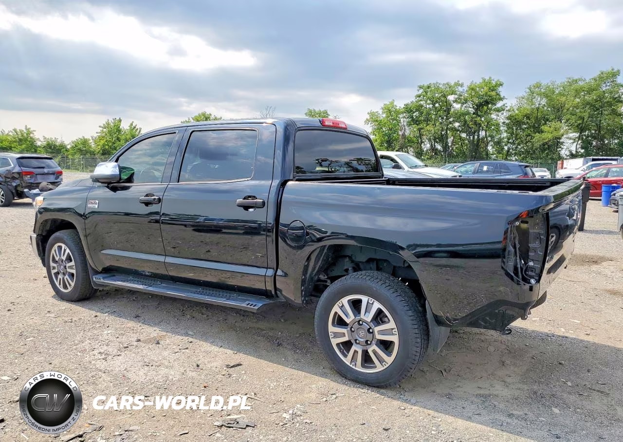 2019 Toyota Tundra 1794 Edition VIN:5TFAY5F15KX800281 - 2