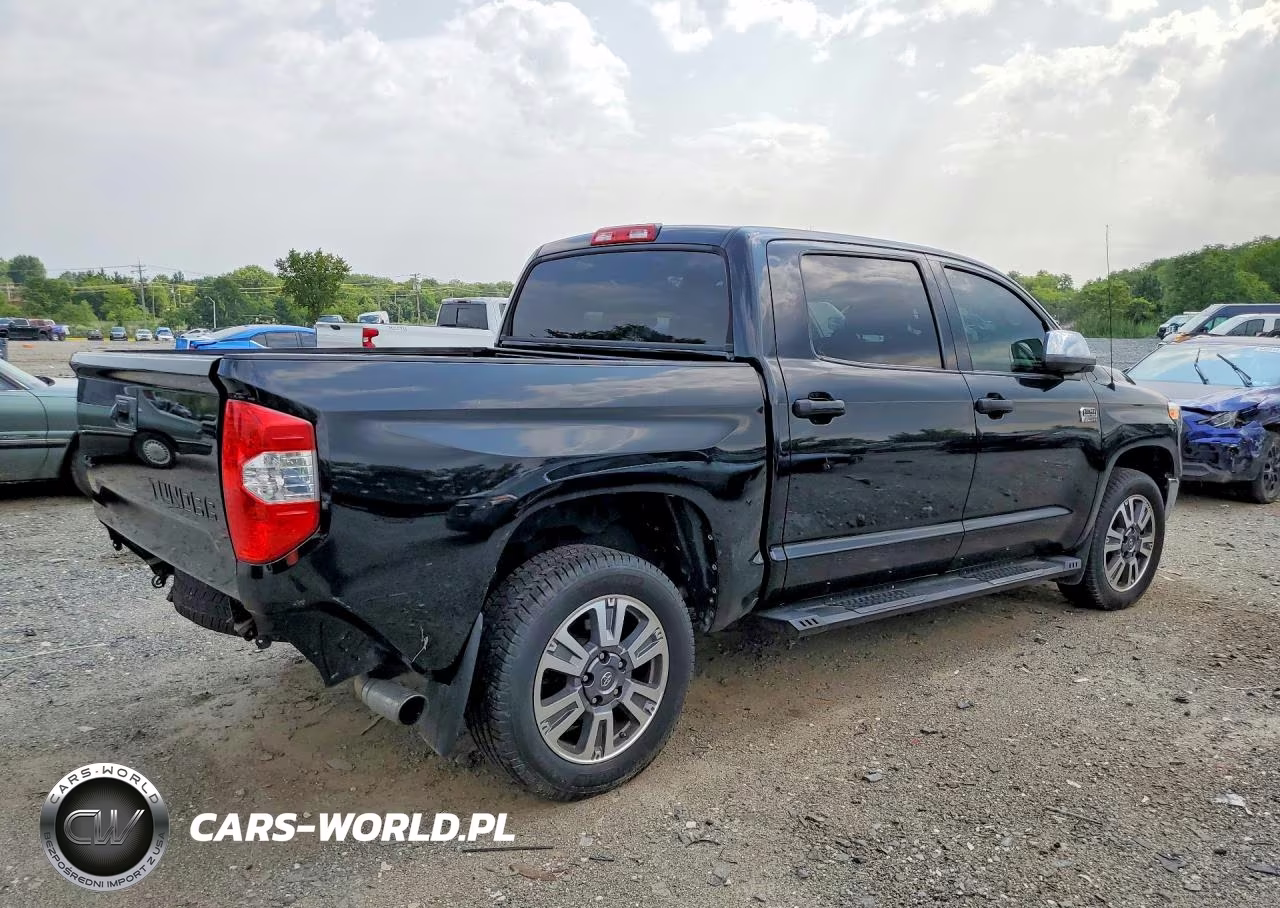 2019 Toyota Tundra 1794 Edition VIN:5TFAY5F15KX800281 - 3