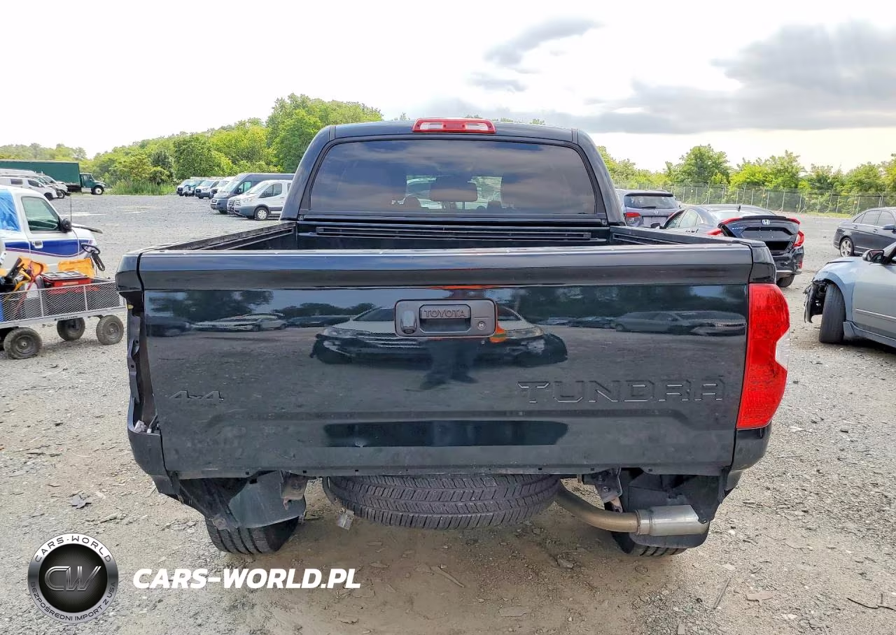 2019 Toyota Tundra 1794 Edition VIN:5TFAY5F15KX800281 - 6
