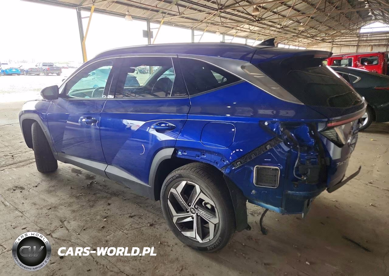 2023 Hyundai Tucson Limited VIN:5NMJECAE8PH214228 - 2