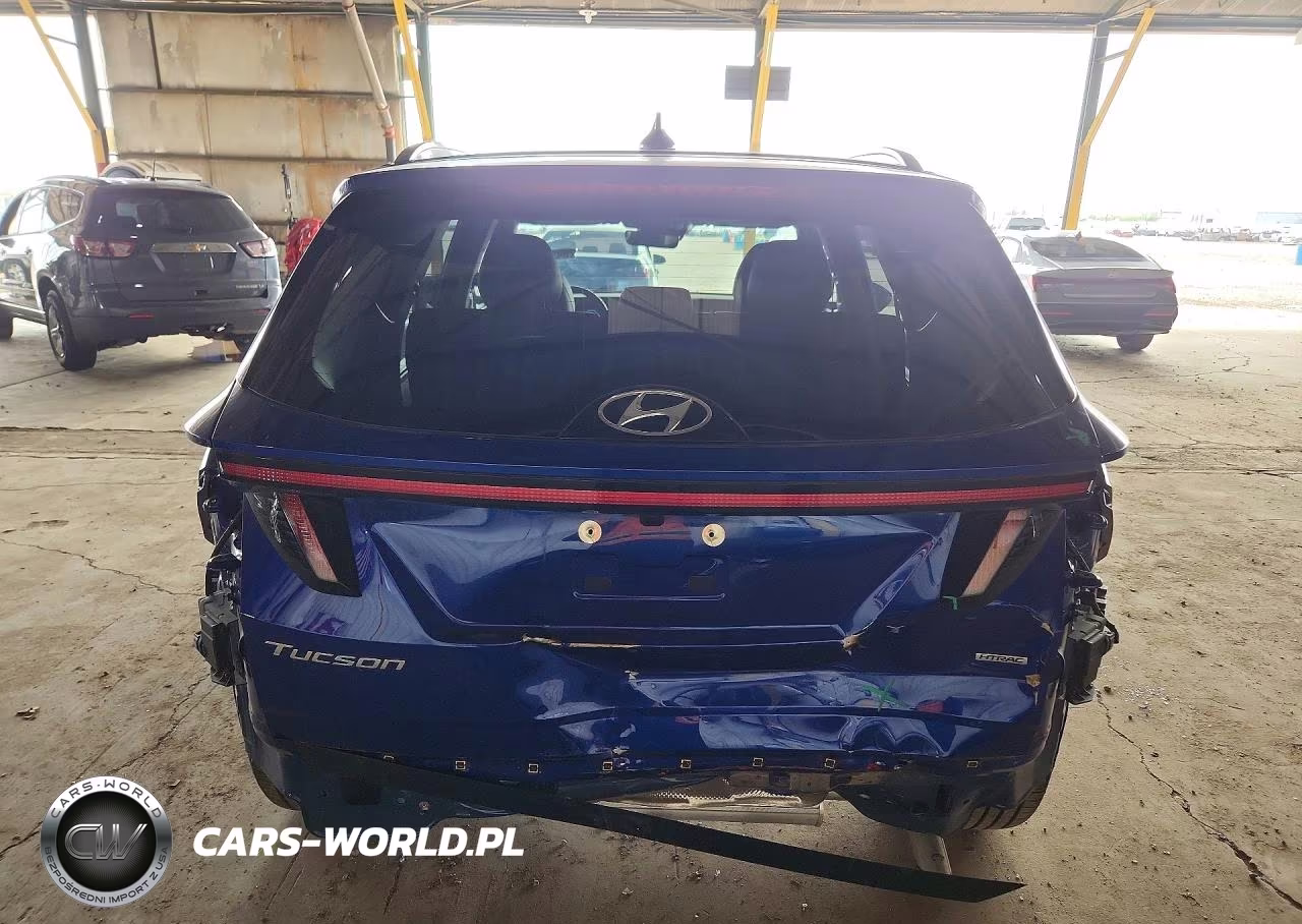 2023 Hyundai Tucson Limited VIN:5NMJECAE8PH214228 - 6