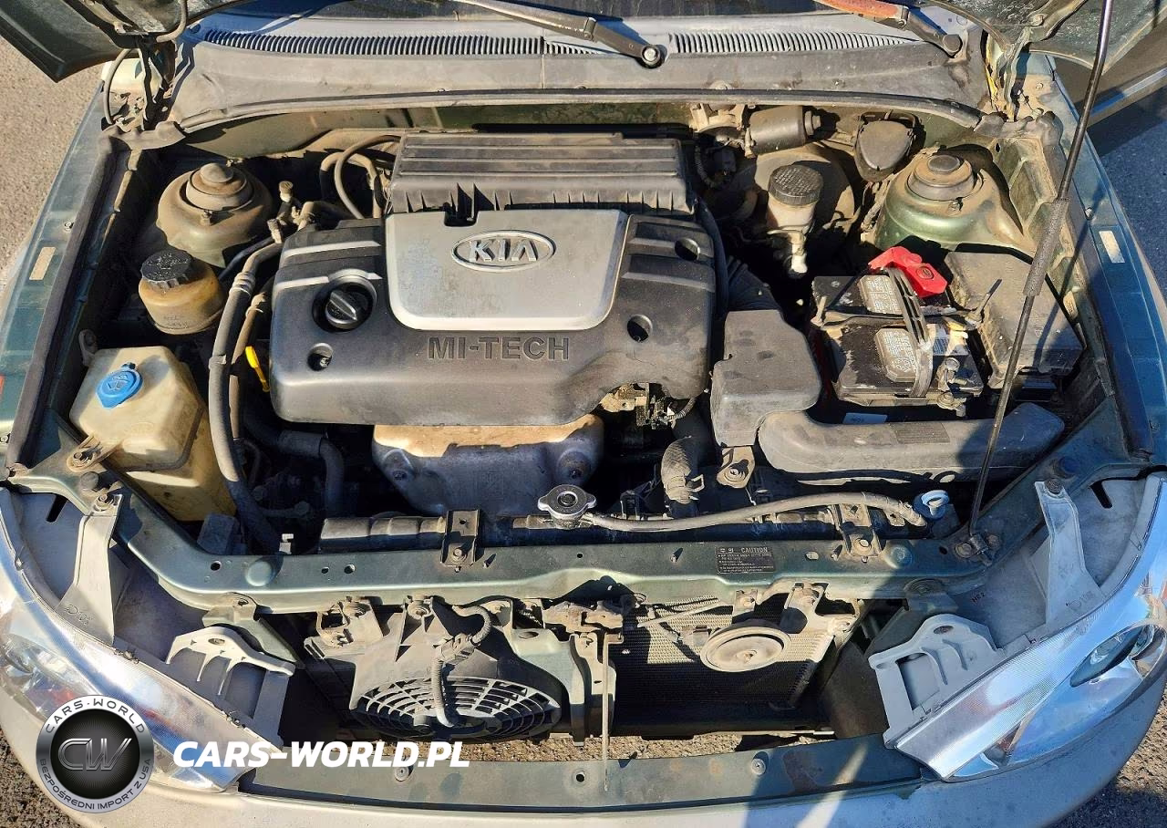 2001 Kia Rio Base VIN:KNADC123316038887 - 11