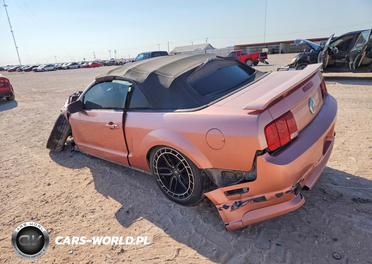 2006 Ford Mustang VIN:1ZVFT84N465224791 - 2